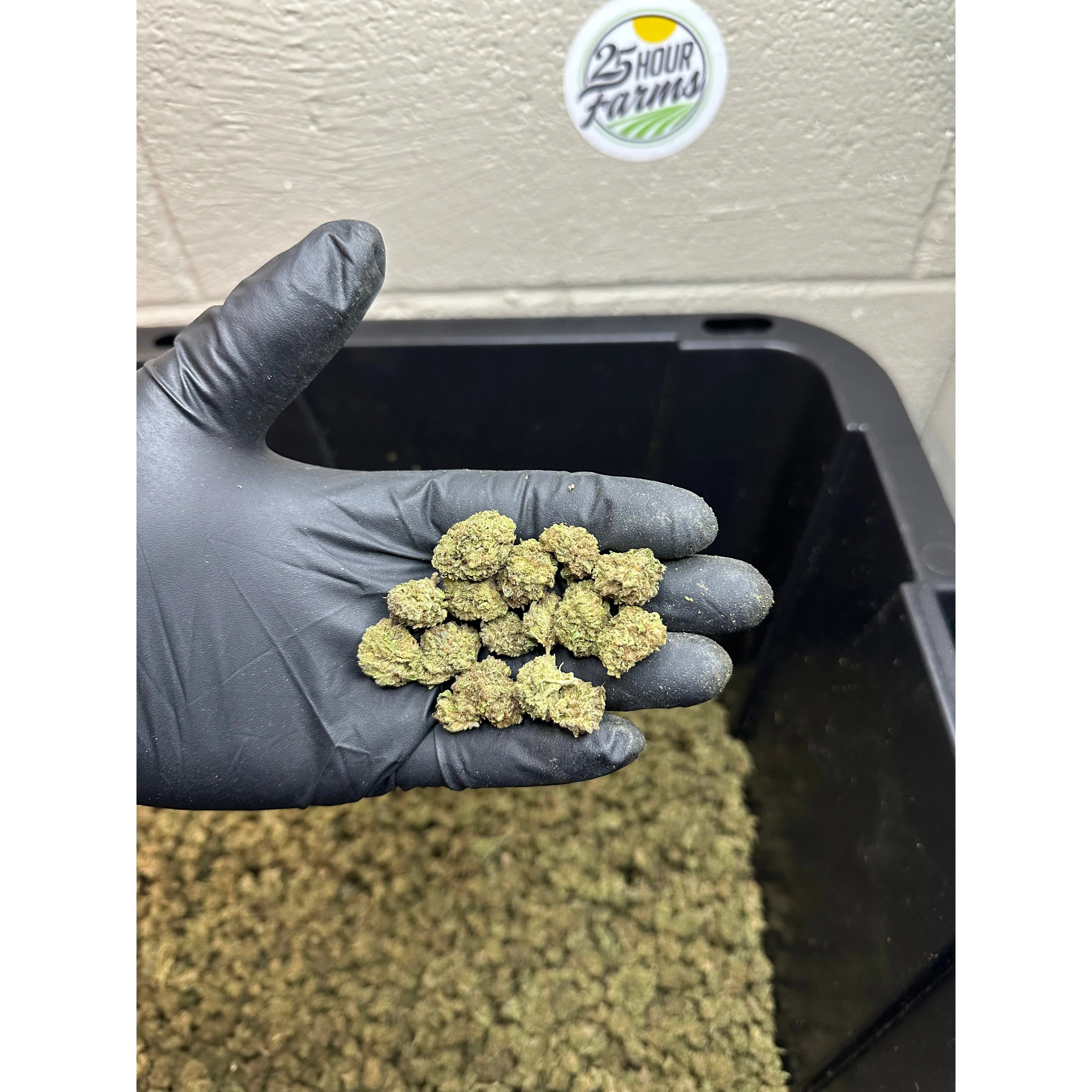 Casino Cookies CBD Hemp Flower Smalls